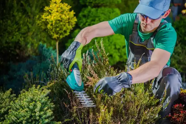 landscaping services Apple Creek
